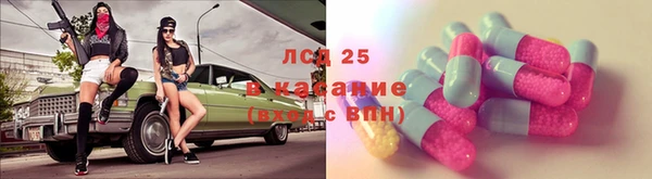 шишки Покачи