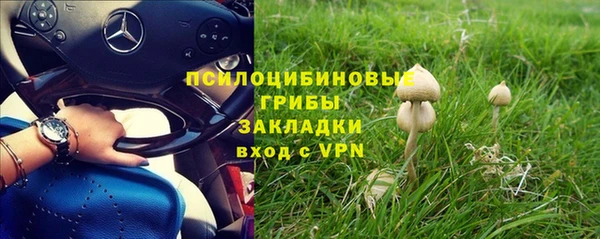 сатива Володарск