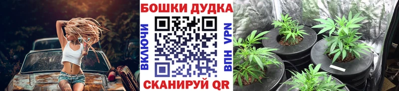 Бошки марихуана конопля  купить наркотики сайты  Макарьев 